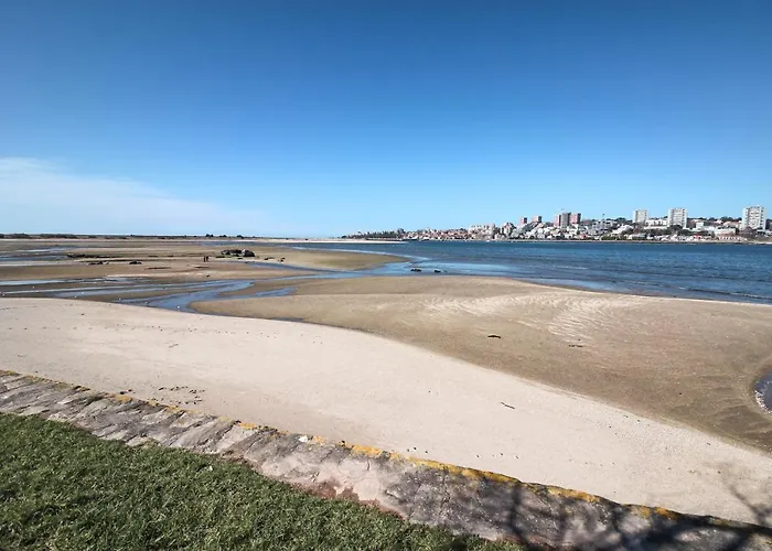 Atelier 321- Porto- Praia- Rio- Terraço Appartement Vila Nova de Gaia