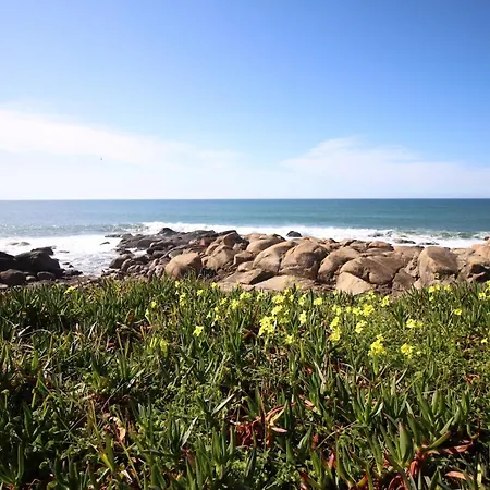 Atelier 321- Porto- Praia- Rio- Terraco *