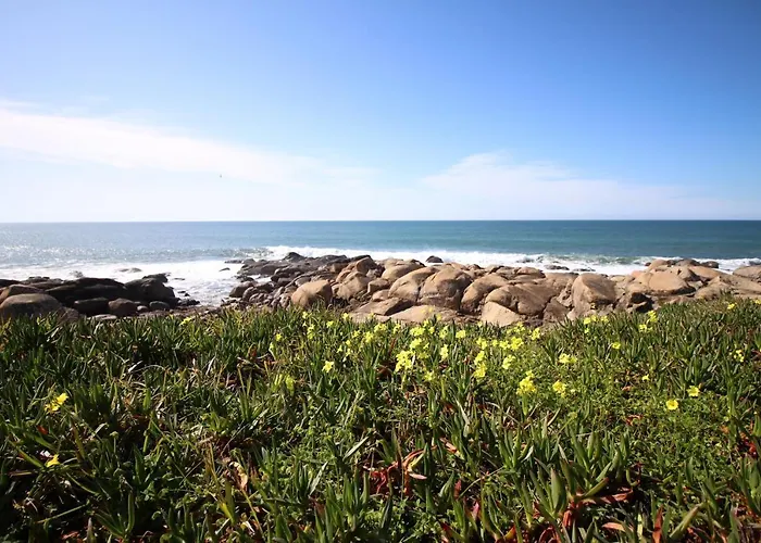 Atelier 321- Porto- Praia- Rio- Terraco *